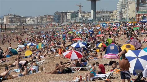 brighton situation update today